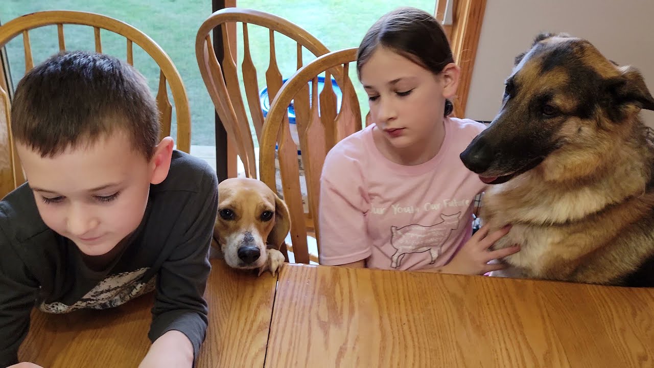 Opening An Air Drop Crate With My Kids!