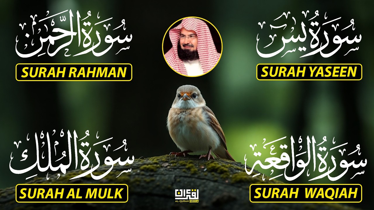 Surah Yasin | Surah Rahman | Surah Waqiah | Surah Mulk | By Sheikh Abdur-Rahman As-Sudais EP-128