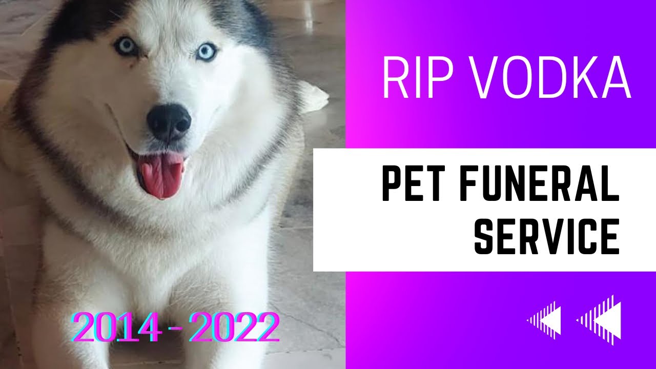 Pet Funeral Service - RIP Vodka