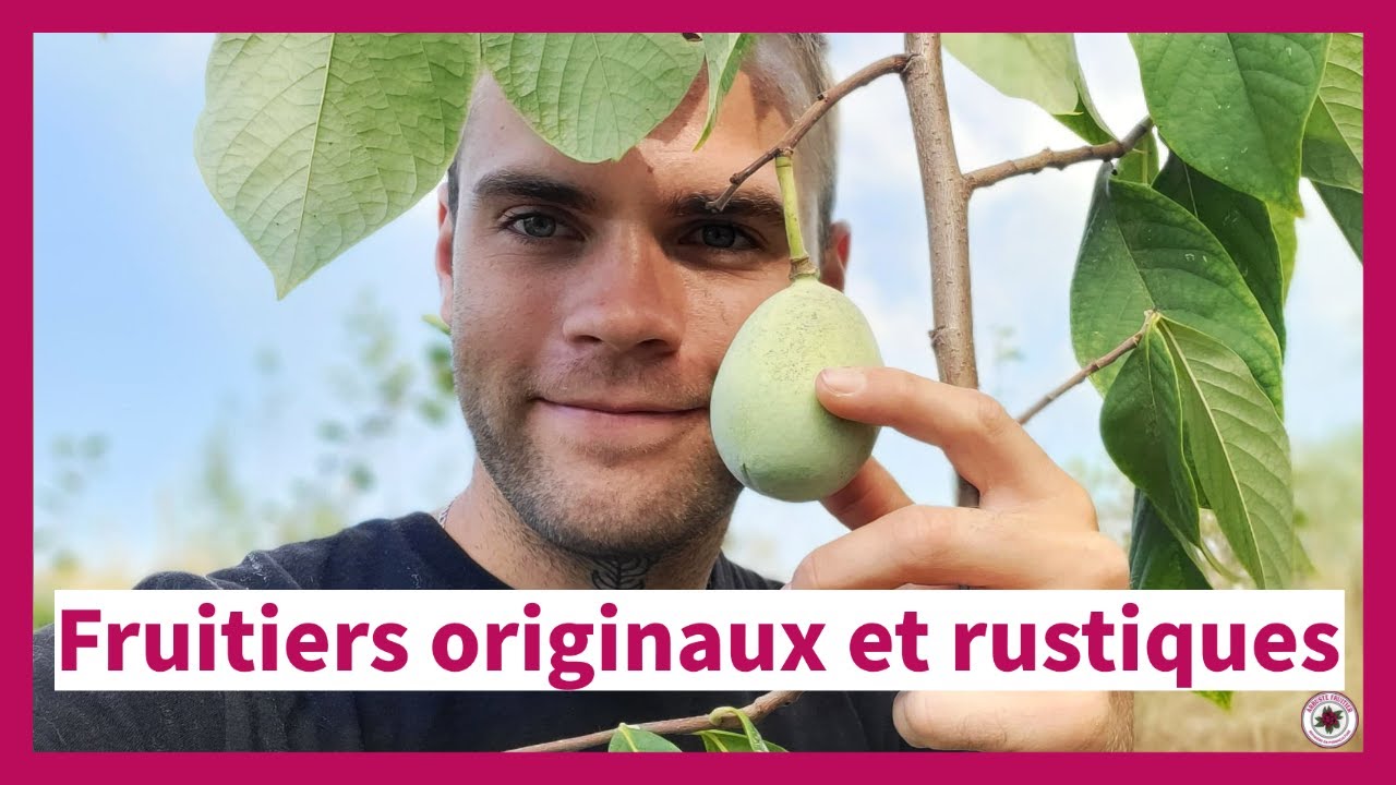 Arbres fruitiers originaux qui résistent au froid