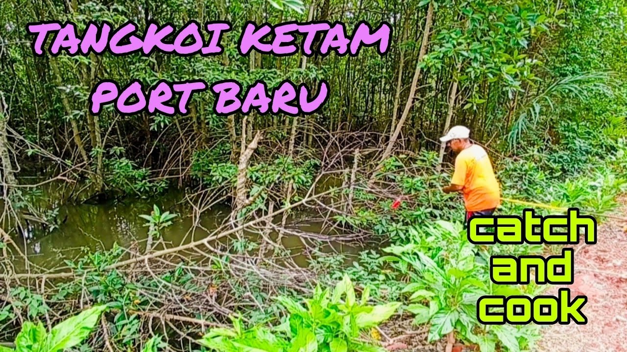 #EP1142 Ketam Karat-karat | Rezeki Spot Baru | Tangkoi Ketam