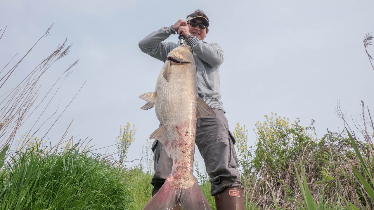 Abu Garcia ワールドモンスター WMSC-734H World Monster 怪魚 Unknown Big Fish--The Answer