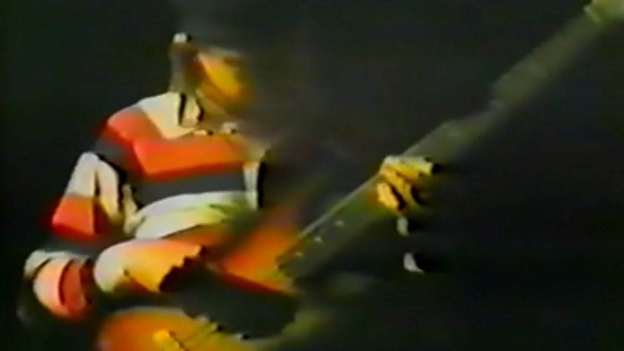 Jaco Pastorius Trio – Bass Solo & Continuum (Live in Bolzano, 1986 / Video)