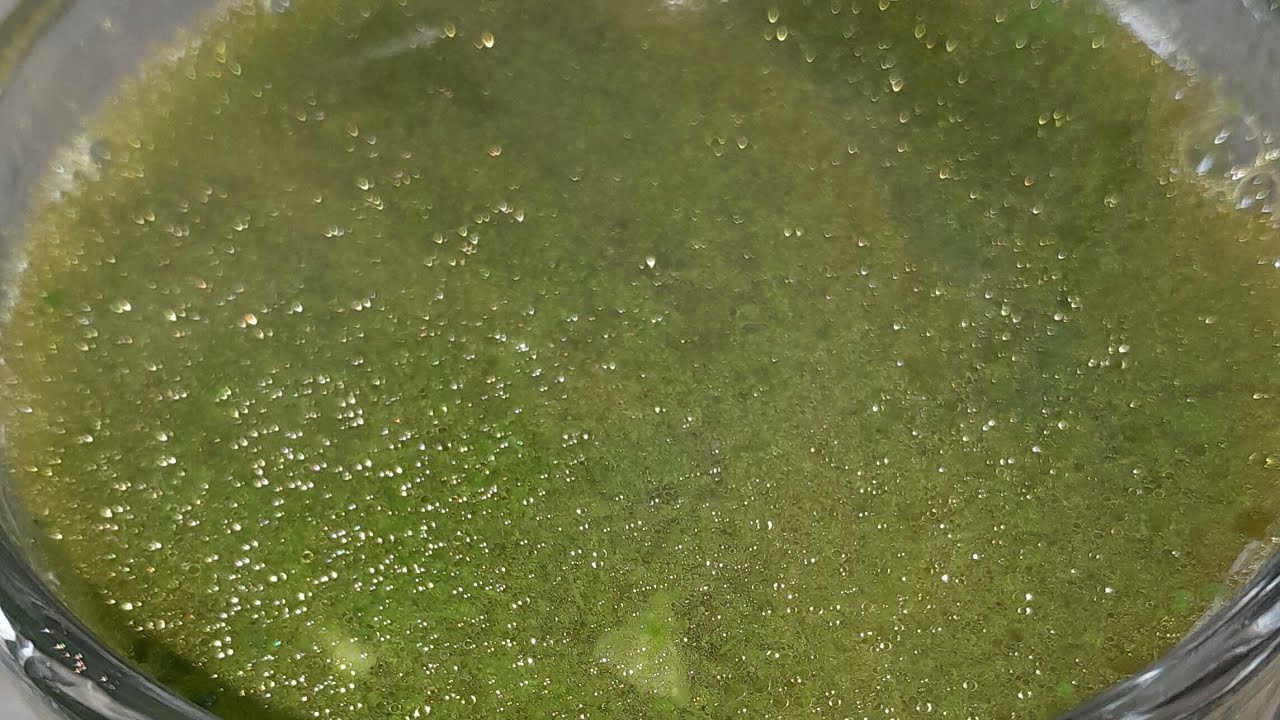 palak soup recipe | spinach soup recipe | shorts | Youtubeshorts
