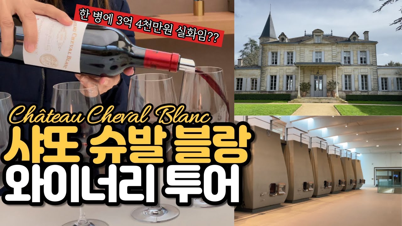 [와인여행]샤또 슈발블랑🍷일반인에게는 공개되지 않는 와이너리. 여러분에게만 보여드립니다.