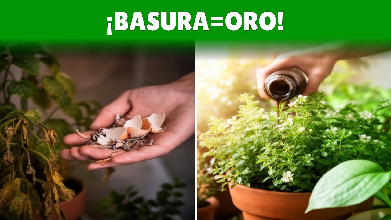 ¡Tus Uñas Reviven tus Plantas! Secreto Milagroso 🌿