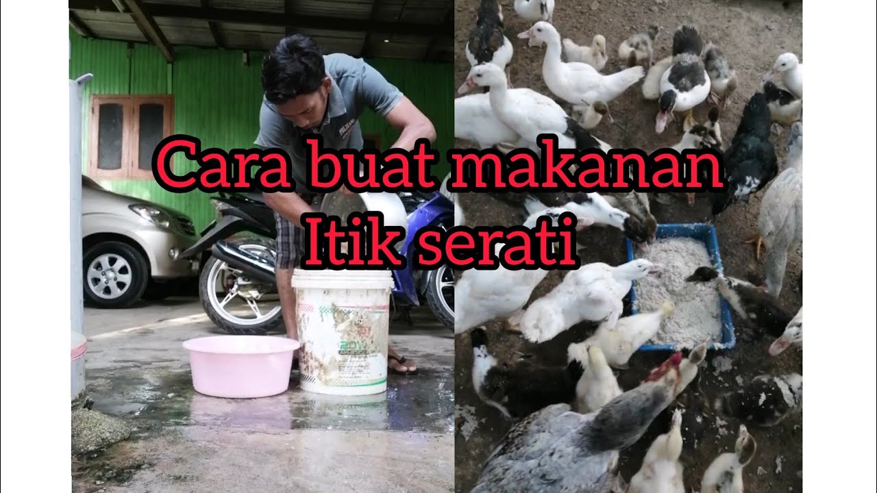 cara buat makanan itik serati
