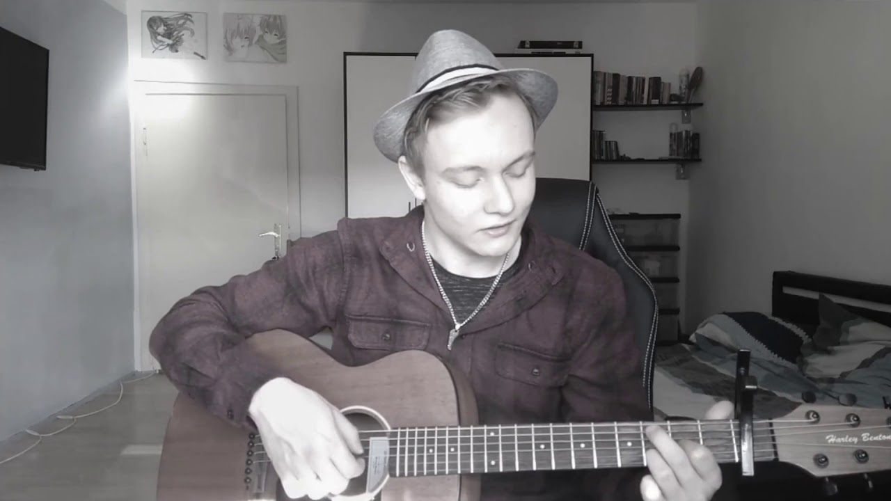 SDP - Millionen Liebeslieder - Guitar Cover