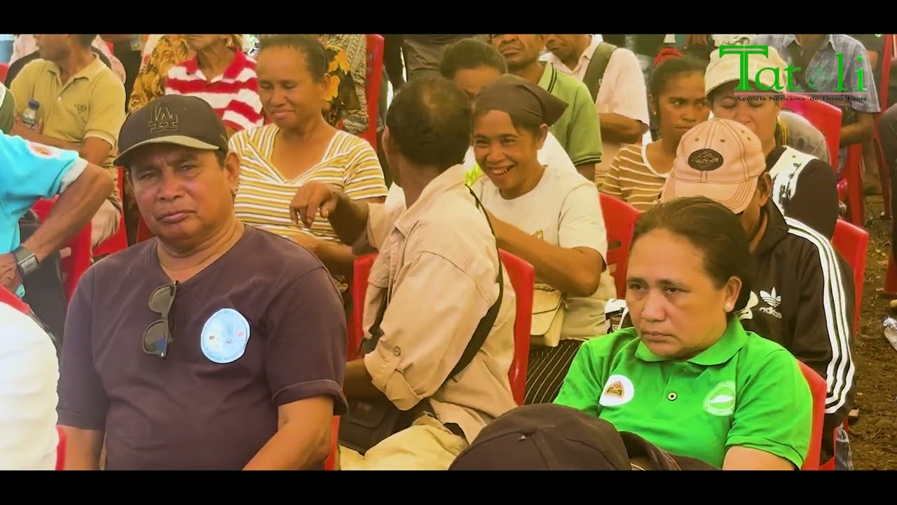 Pakote Reportajen : Polítika Governu ba kuda ai kameli no floresta iha Timor Leste