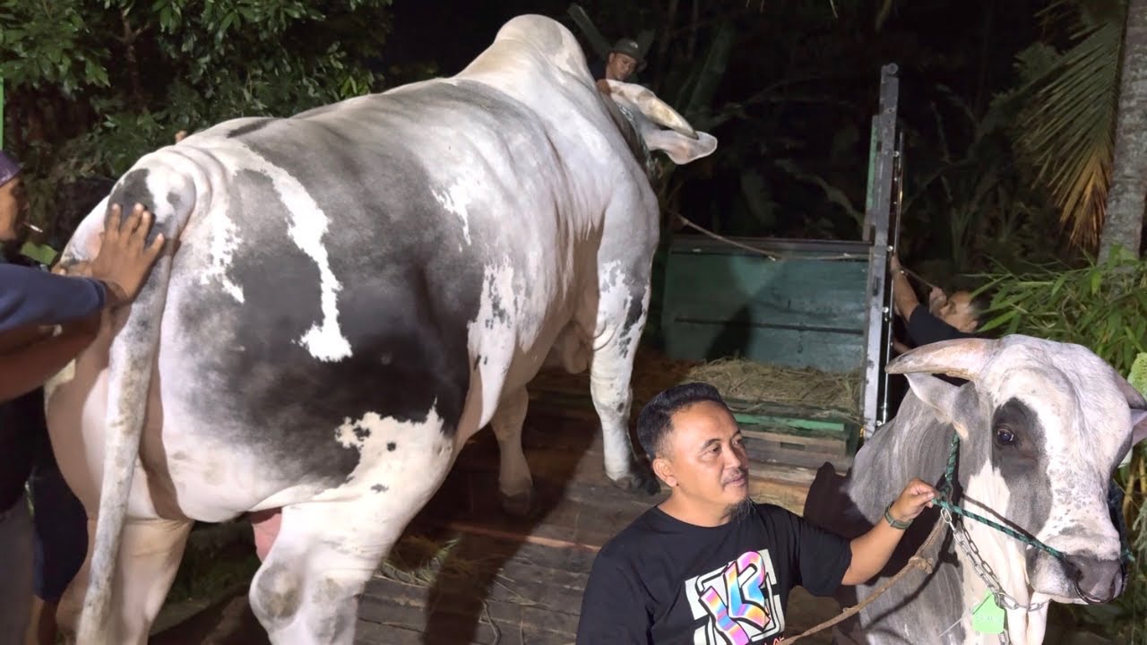 BRANTAS PAMIT BERANGKAT KE TEGAL SELAMAT JALAN LEE ‼️🔥🔥🔥