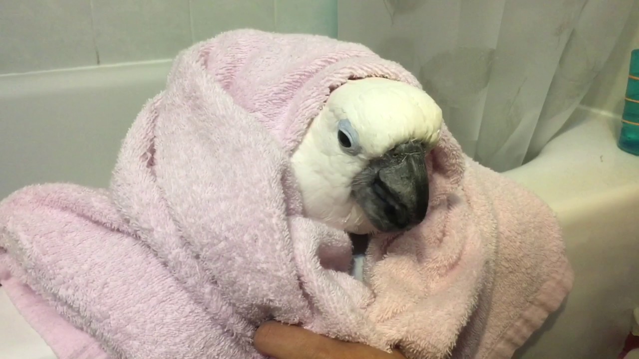 Yay it's shower time❤️❤️❤️