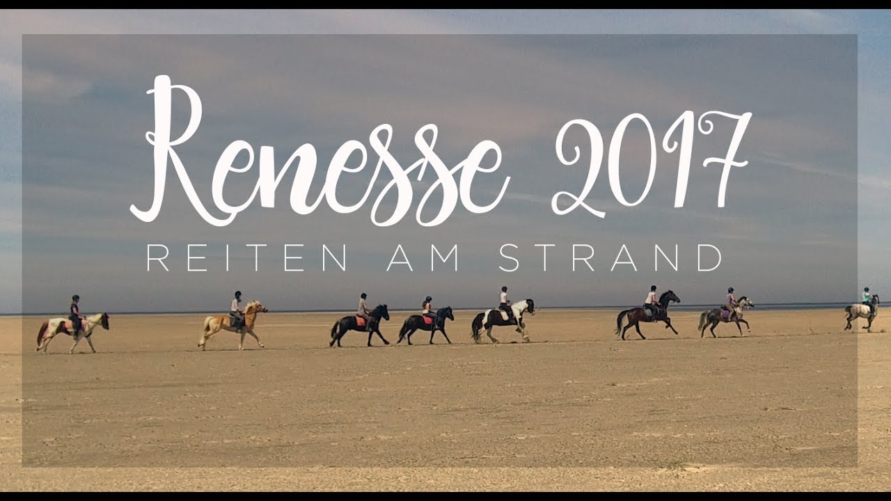 004 - Reiten am Strand von Renesse / 2017
