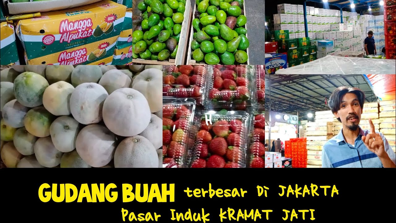 UPDATE haraga buah Pasar Induk Kramat Jati | Pusat grosir Buah Segar terbesar Di jakarta
