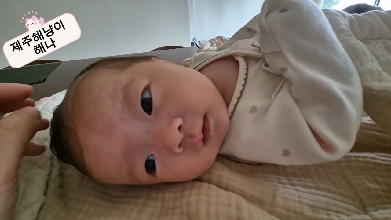 수다쟁이 되려나~?