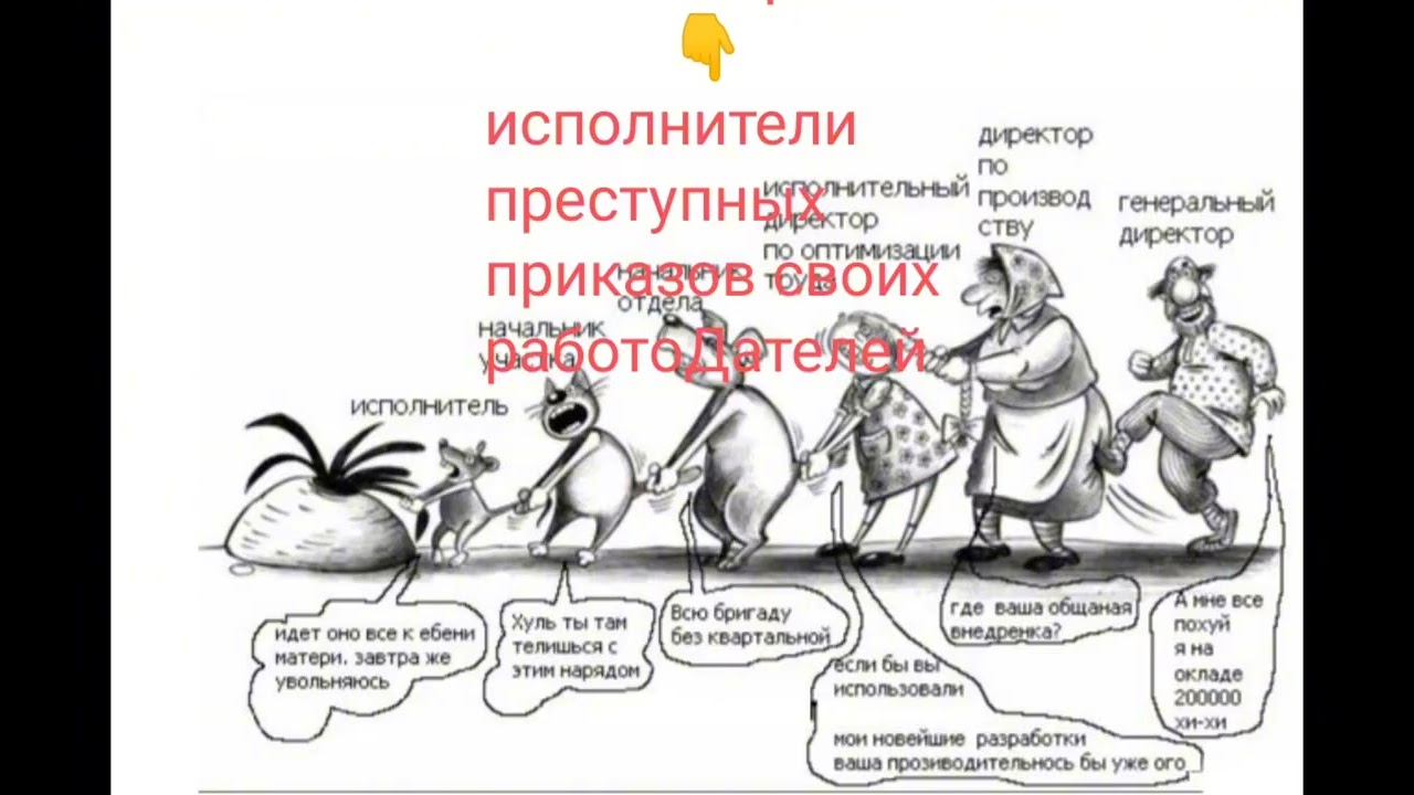 11 февраля 2026 г.