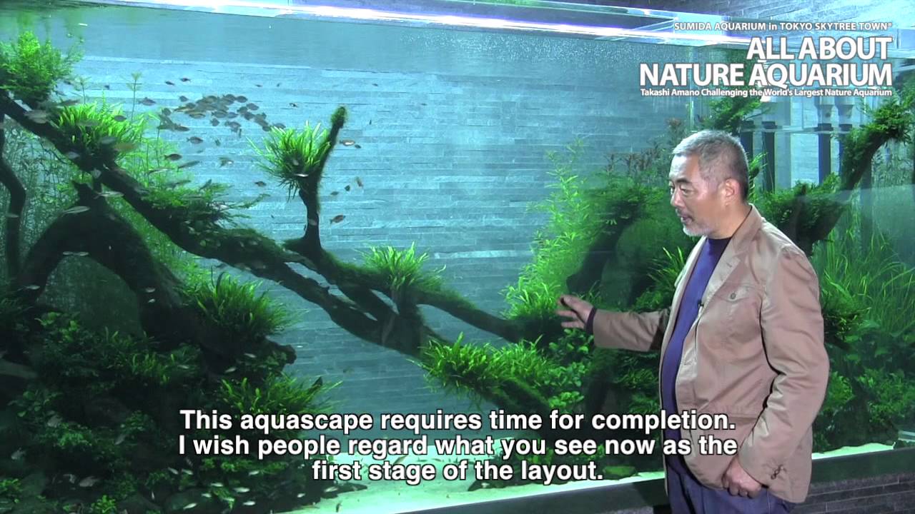 TAKASHI AMANO × SUMIDA AQUARIUM Final Episode