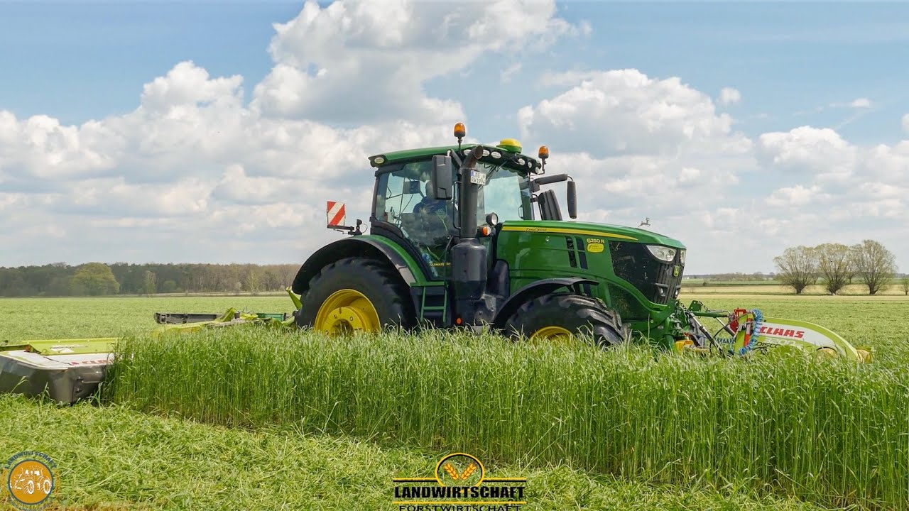 40cm Futter Roggen mähen John Deere 6250R mit Claas Mähkombination Ganzpflanzensilage 2021