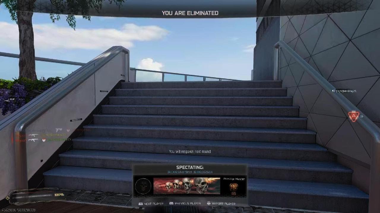 Call of Duty_ hc search dub me clutch
