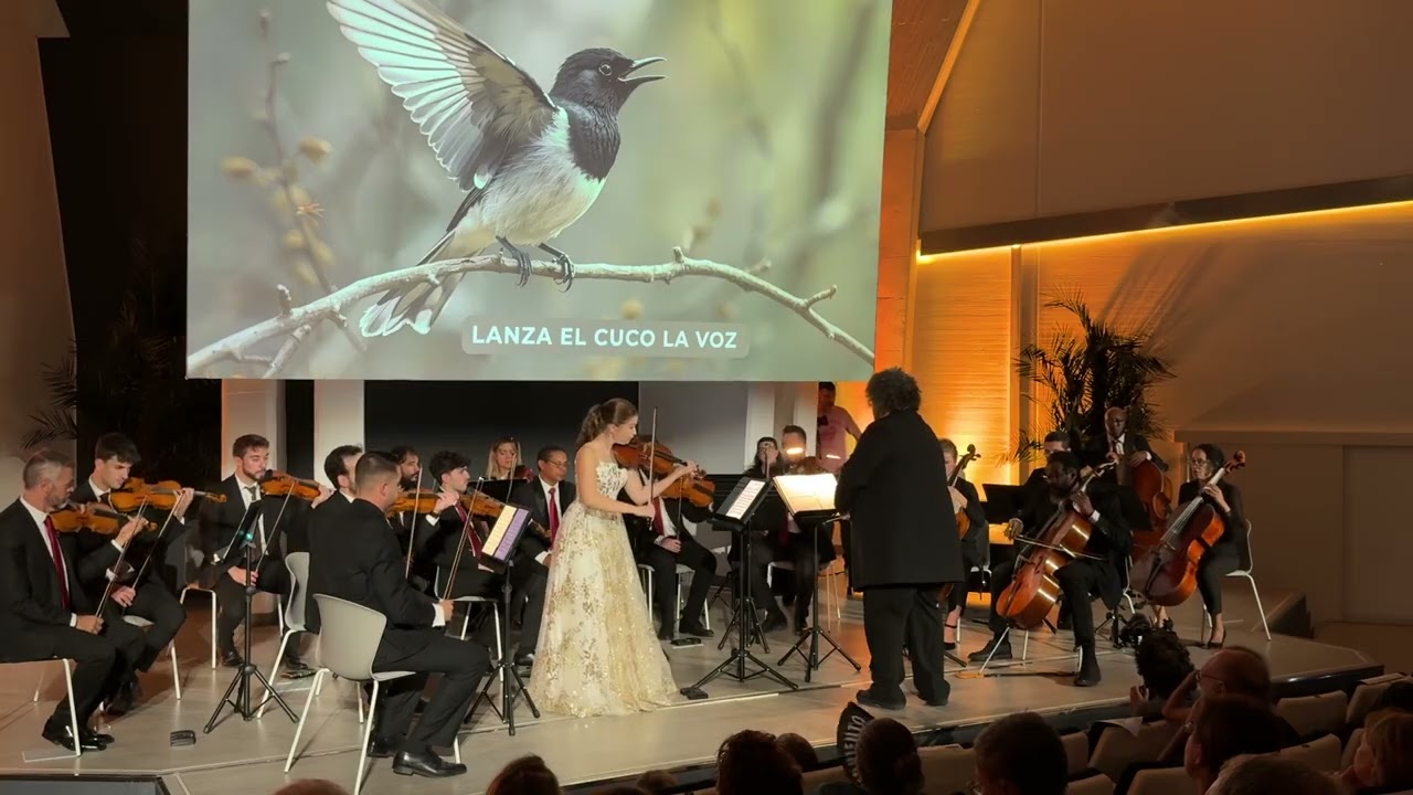 A.Vivaldi- Le quattro stagioni// Natalia Dragan violin