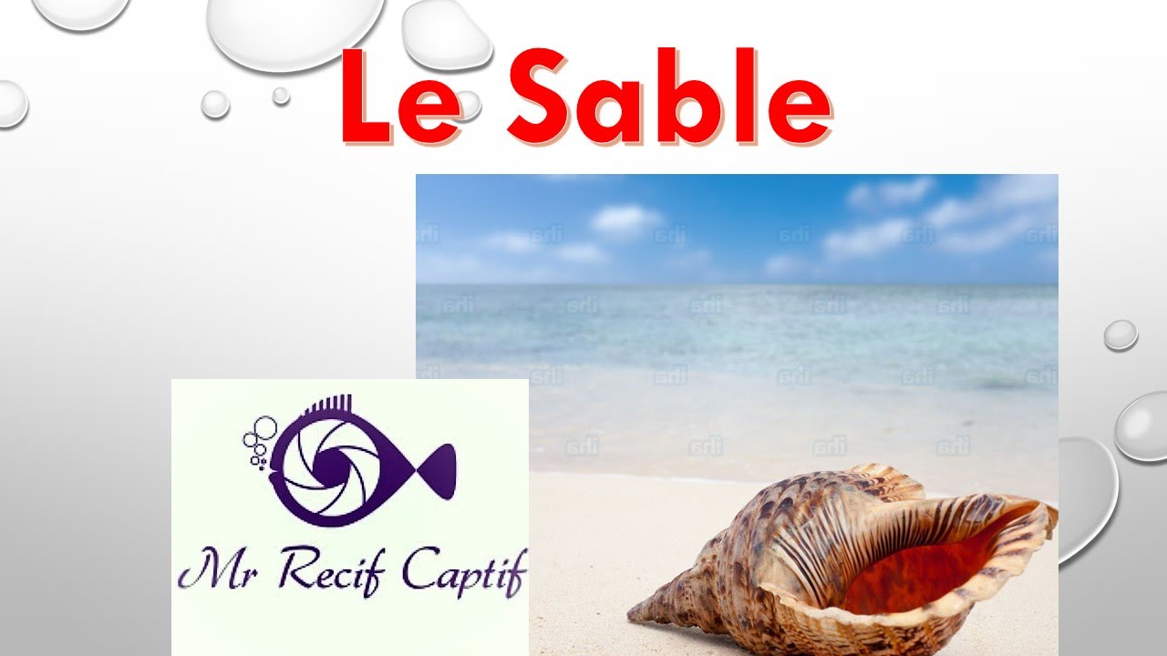 Le sable en récifal - Mr Recif Captif #88