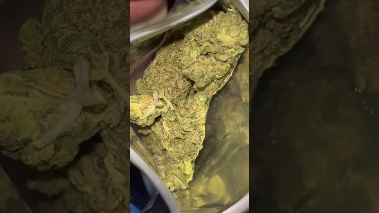 15$ quarter ounce Mimosa thcasmallbuds.com