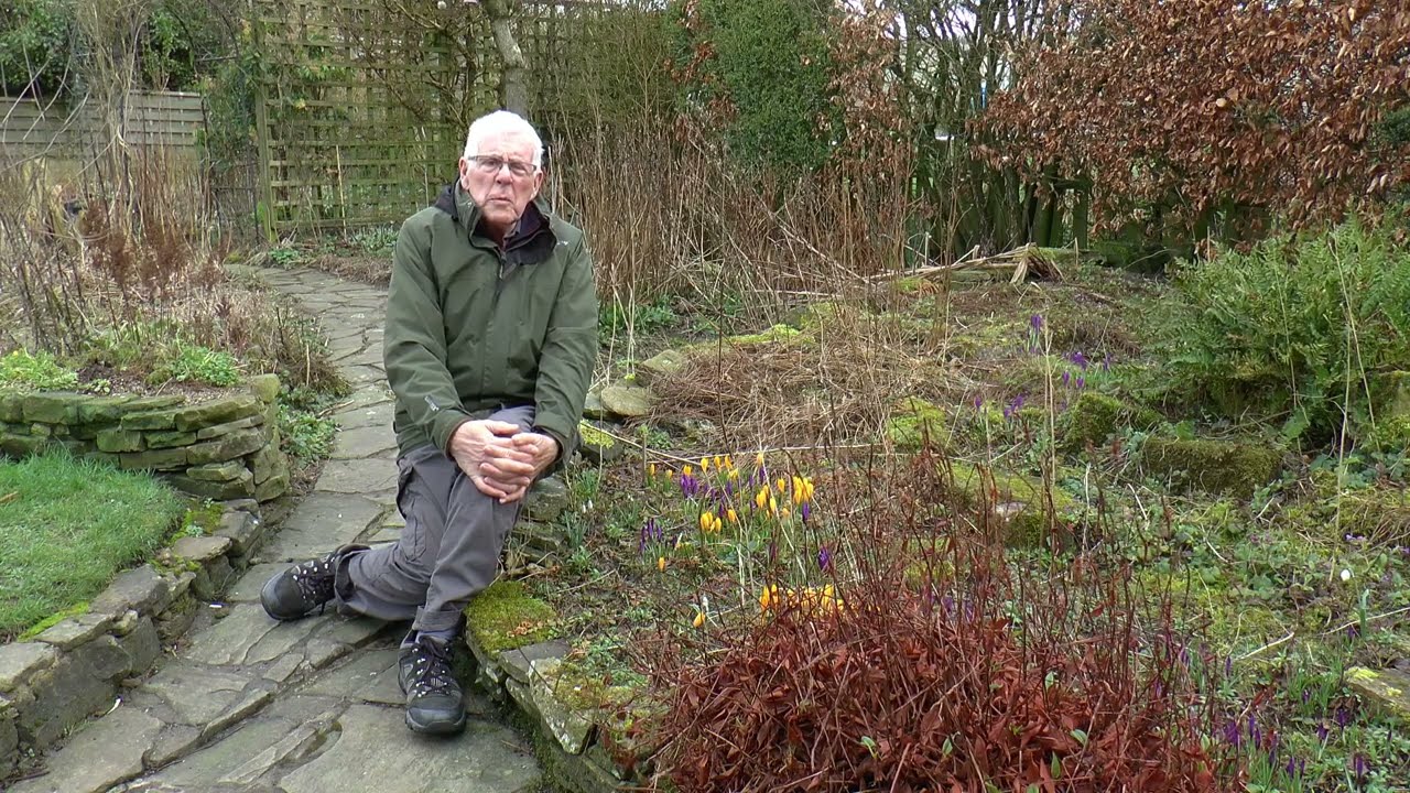 Wildlife Garden Diary  For January & February 2023