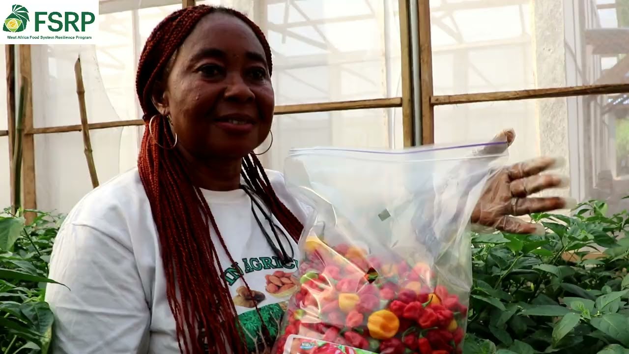 Promoting Nutrition, Research & Innovation: Njala Received Greenhouses for economic growth 