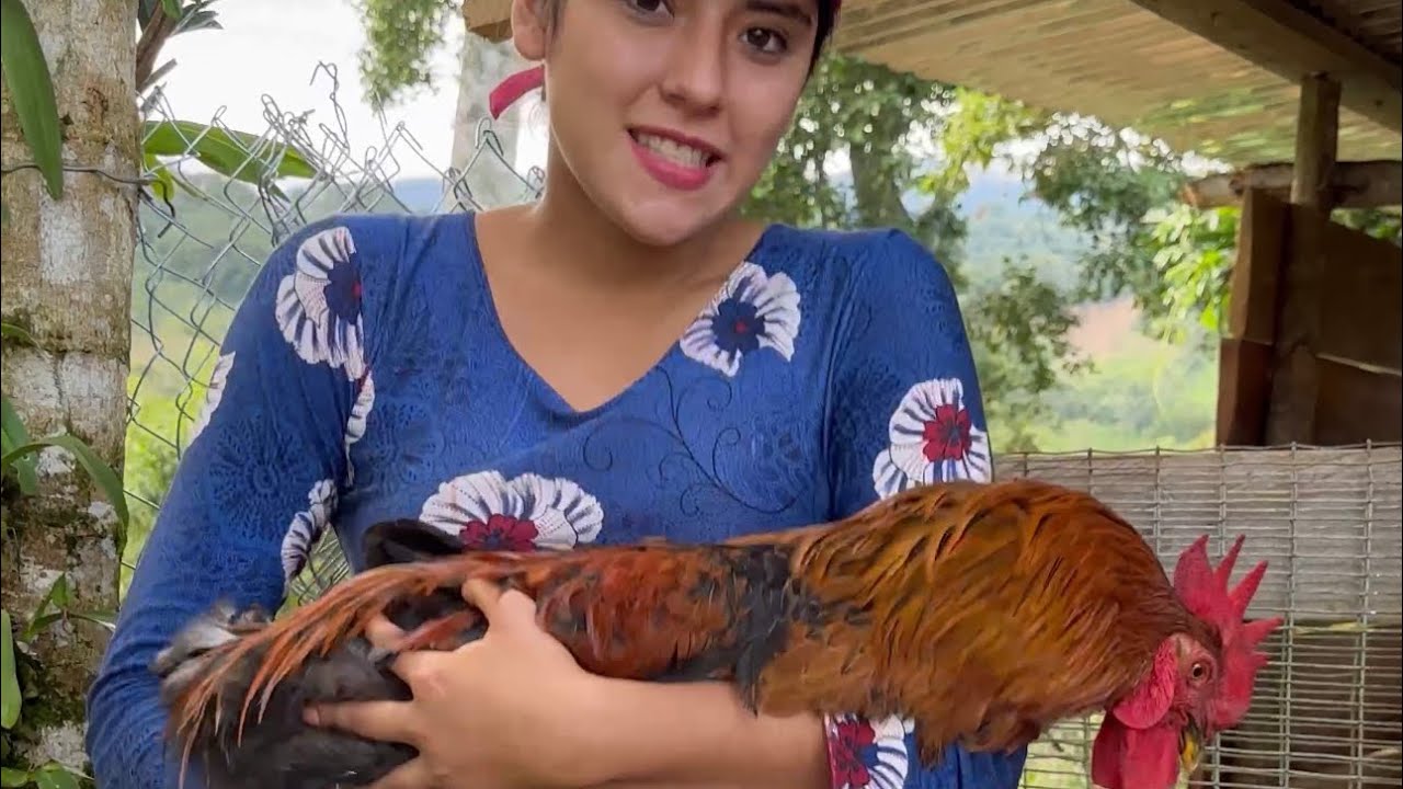 Me compré este gallo reproductor para mis gallinas ~ Saida ZC ~ 💚