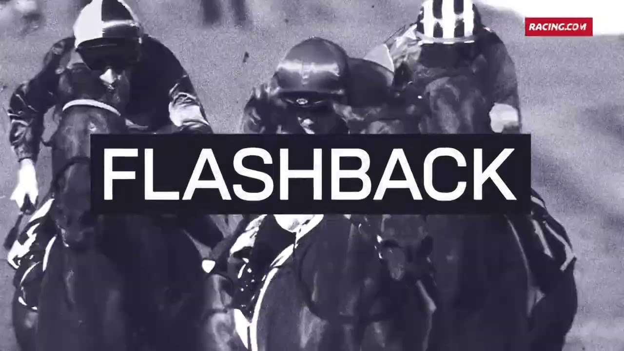 Newmarket Handicap Flashback | Schillaci, Black Caviar & In Secret