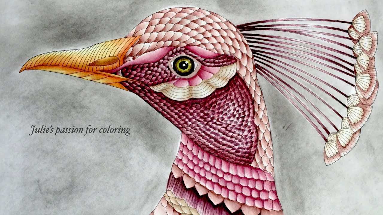 BEAUTIFUL BIRDS AND TREETOP TREASURES by Millie Marotta - color along