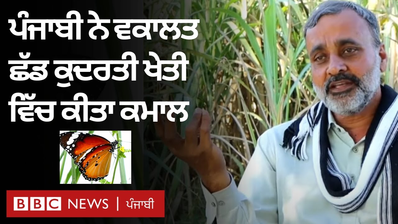 Punjab 'ਚ Sohangarh Natural Farms 'ਚ ਕੁਦਰਤੀ ਖੇਤੀ ਇੰਝ ਹੋ ਰਹੀ ਹੈ | 𝐁𝐁𝐂 𝐏𝐔𝐍𝐉𝐀𝐁𝐈