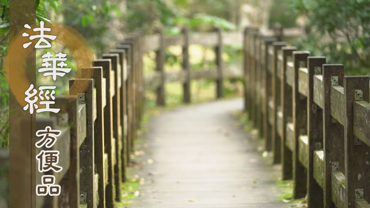 【靜思妙蓮華】法華經方便品 - 妙法未圓 信力精進 - 20200413 第243集