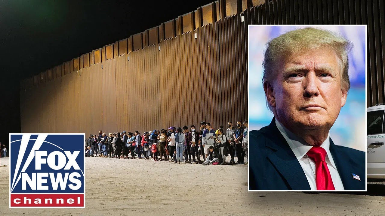 Trump's mass deportation plan debated by lawmakers
