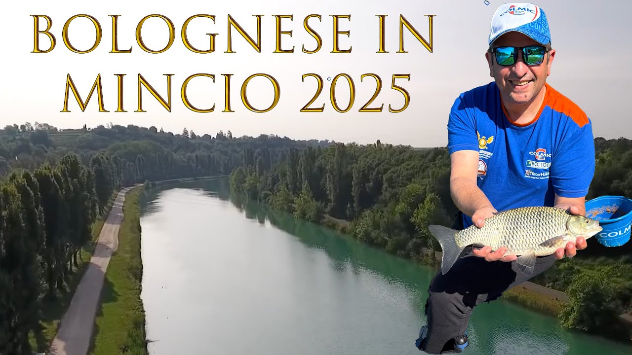 Bolognese in Mincio 2025
