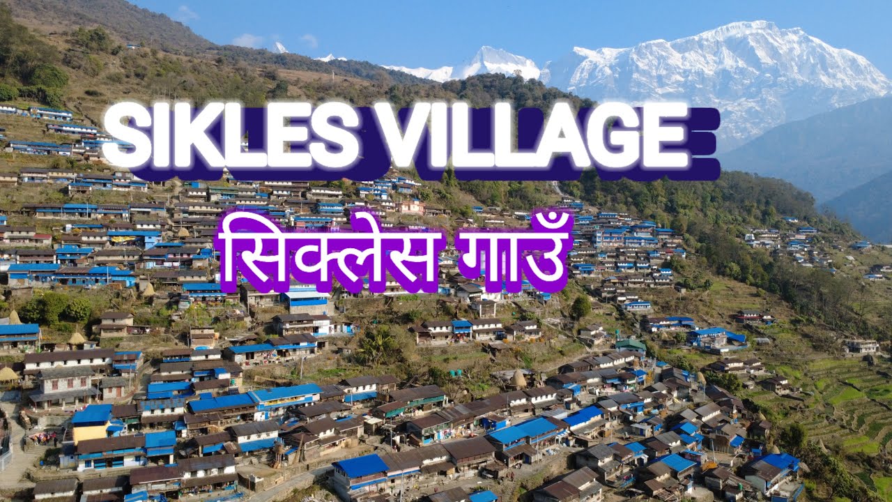 भिर मौरीको मह चाखियो 🐝#wild #honey🐝 #सिक्लेस गाउँ #sikles village यस्तो राम्रो गाउँ 🇳🇵🇳🇵🙏