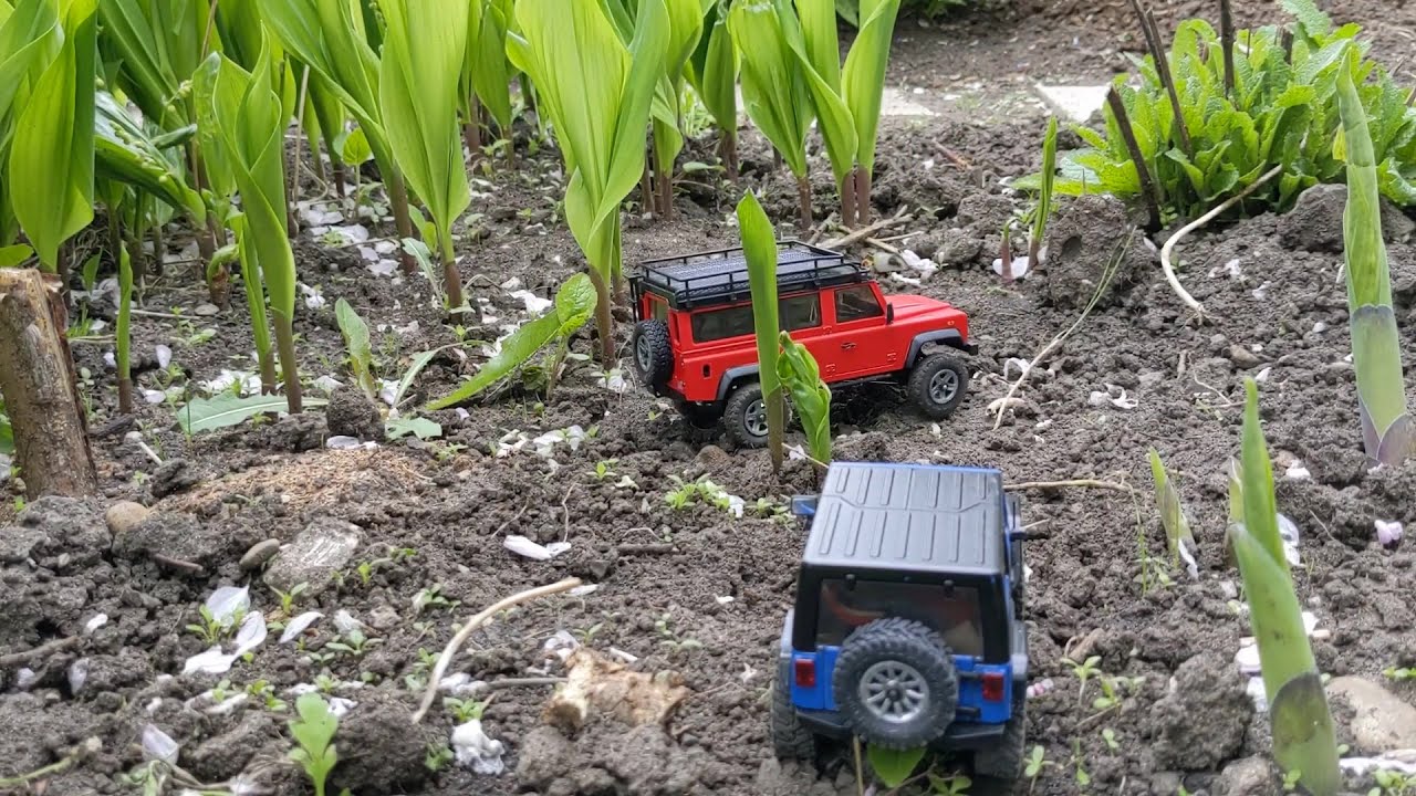 Driving both Orlandoos out in the Garden