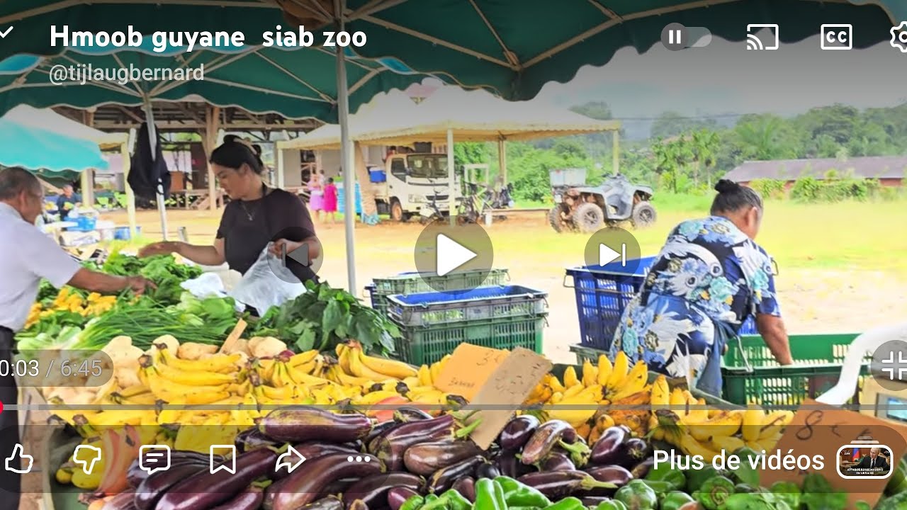 Tus muam yawj yij  lub neej khwv noj hau fab ki av me  guyane 