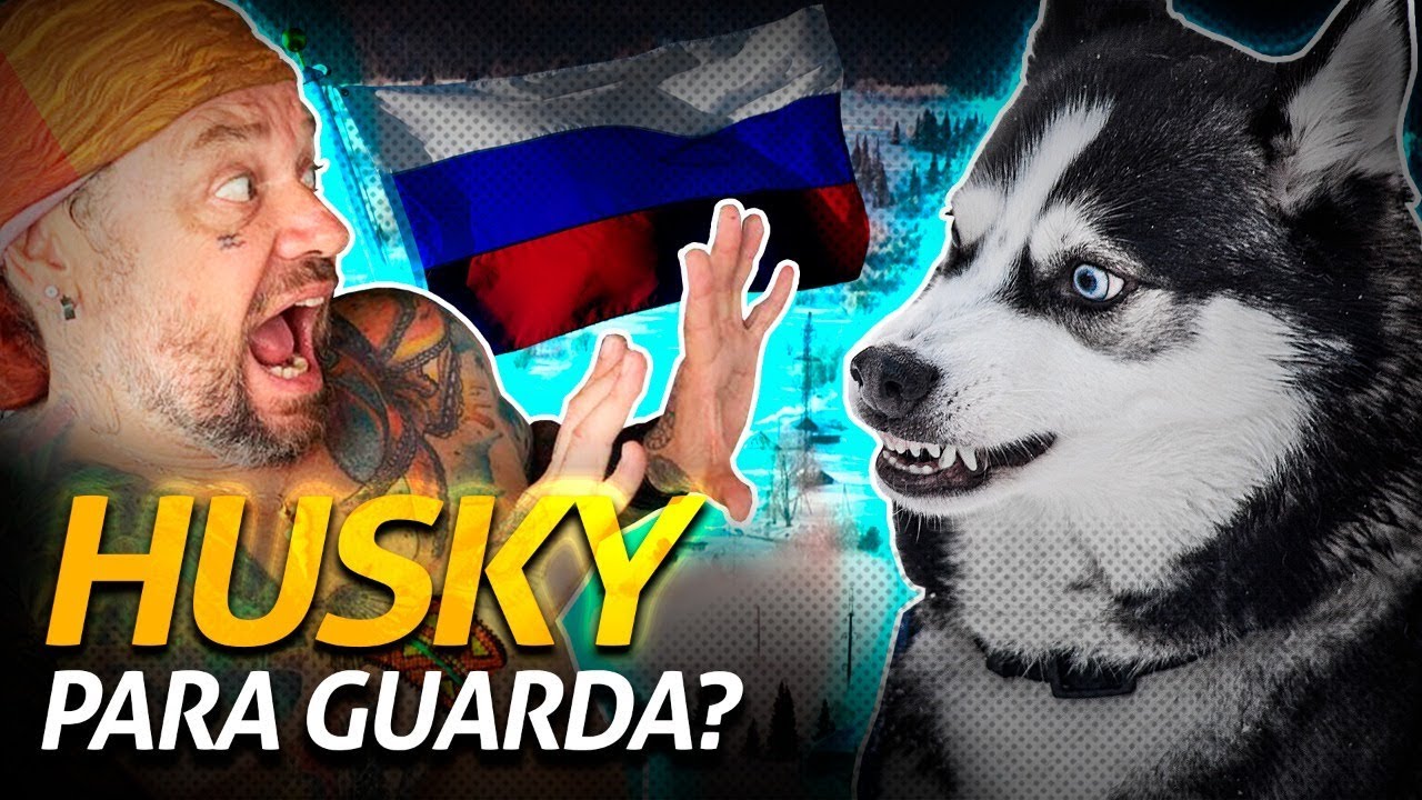 HUSKY É UM BOM CÃO DE GUARDA | Richard Rasmussen