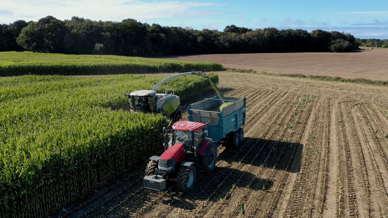 Ensilage maïs 2019 / ETA Brian Delamare