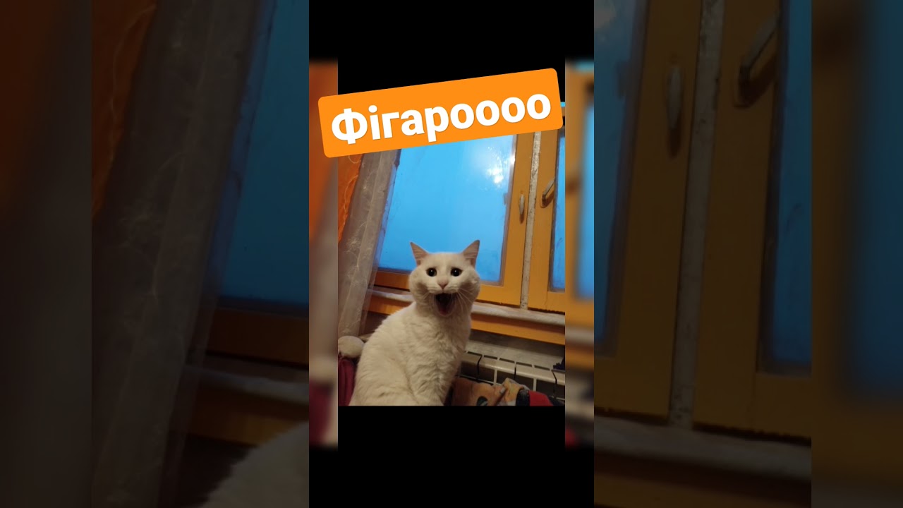 непревзойденный, неповторимый и восхитителен 