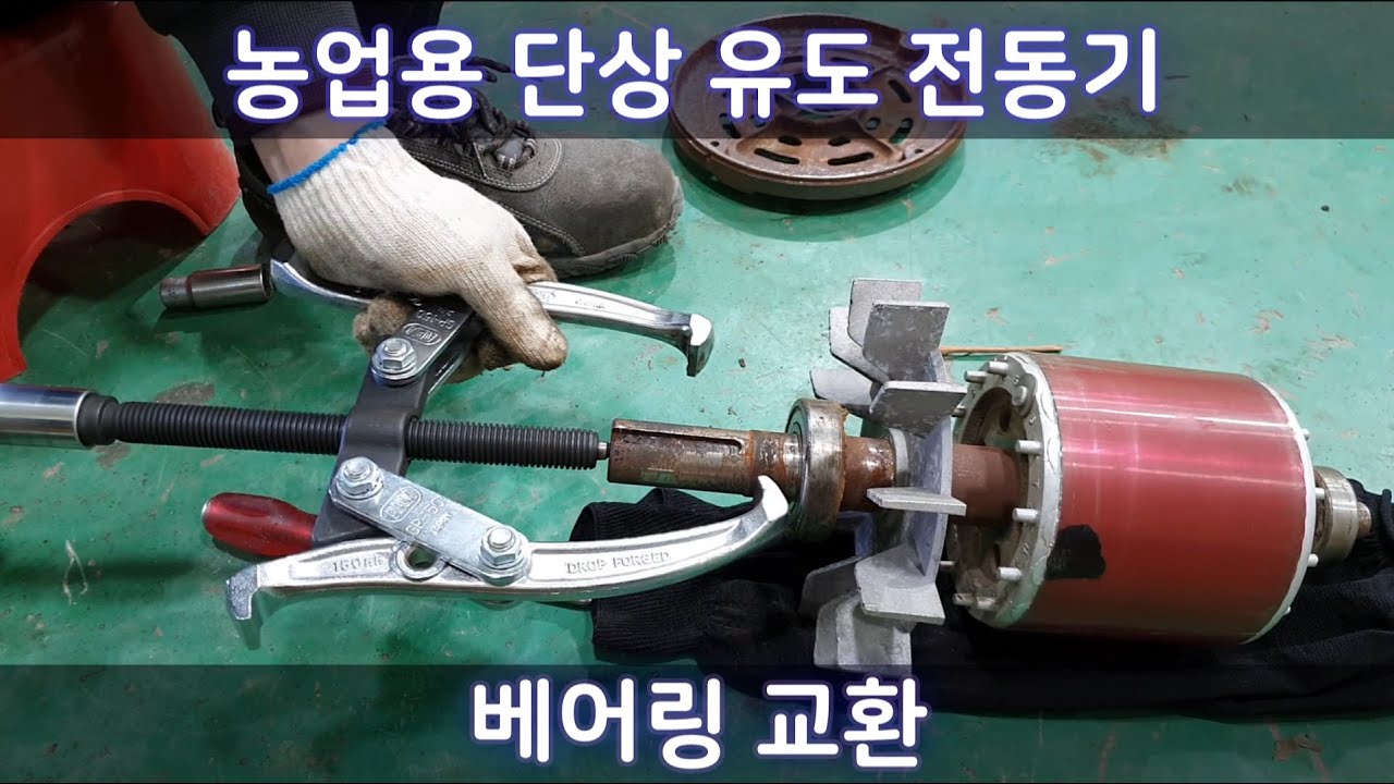 농업용 전동기 베어링 교환