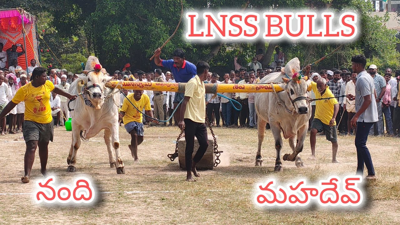 ఆకువీడు సీనియర్స్ విభాగం 2వ జత LNSS BULLS 