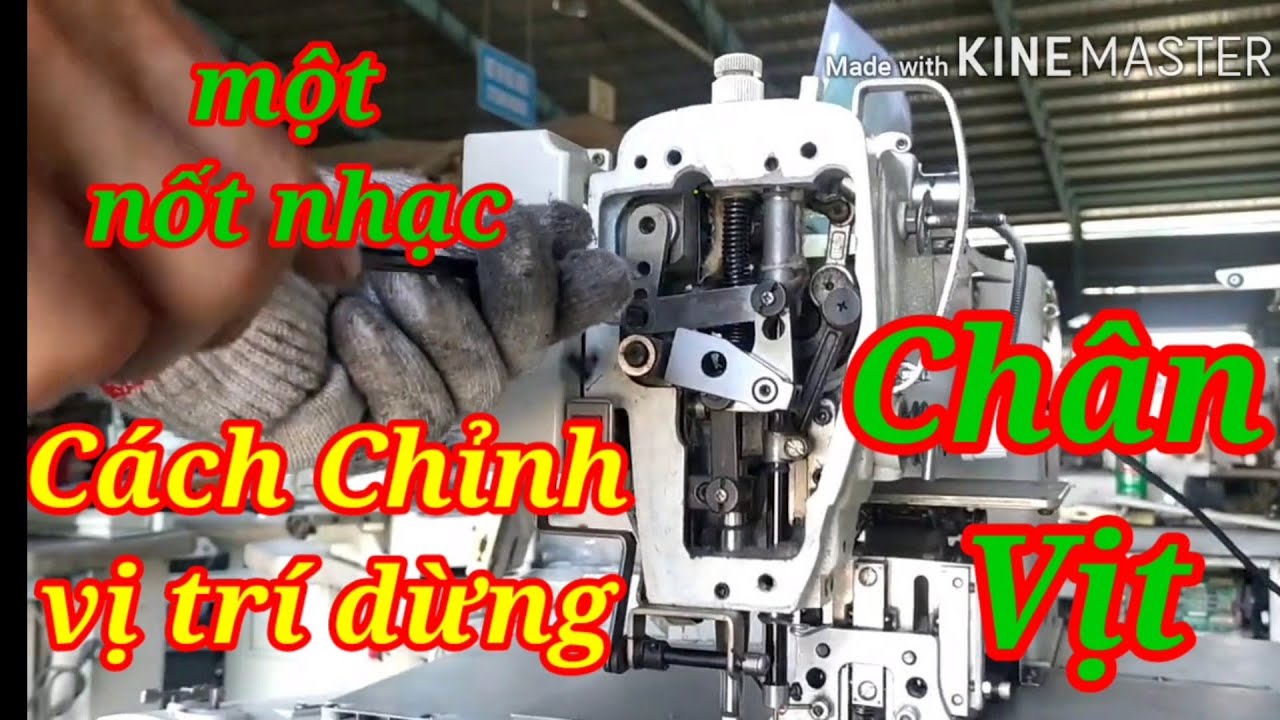 Chỉnh Độ Nhảy  Chân Vịt P2..#26