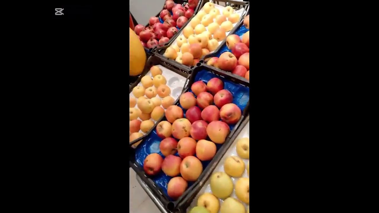 جولة center madinaجديد في ولاية سيدي بلعباس  رواحو تشوفو سلعة مركز  واسعار عيشوا اجواء معانا❣️✨️❤️🥰
