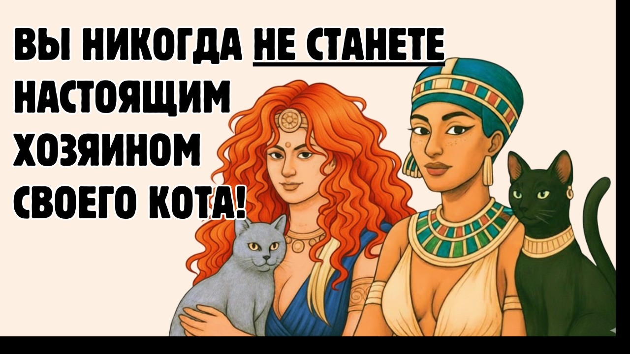 Как мы ДВАЖДЫ одомашнили кошек / Скучная история на ночь