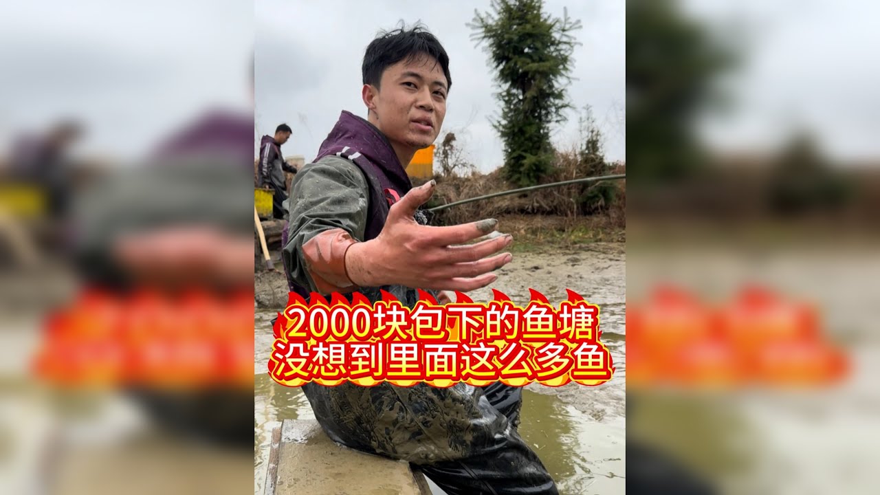 花两千块包下的鱼塘，没想到里面抓上来这么多鱼...