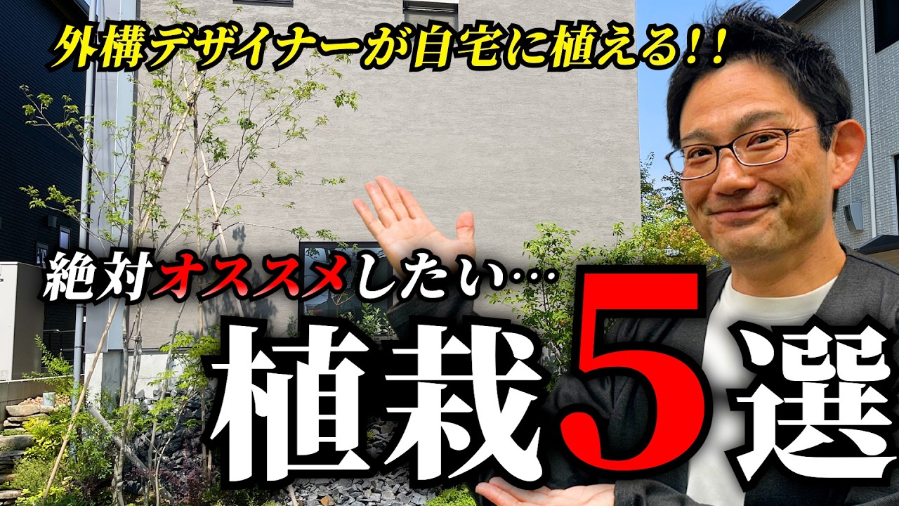 【初心者必見】プロが実際に自宅で植えてる植物５選