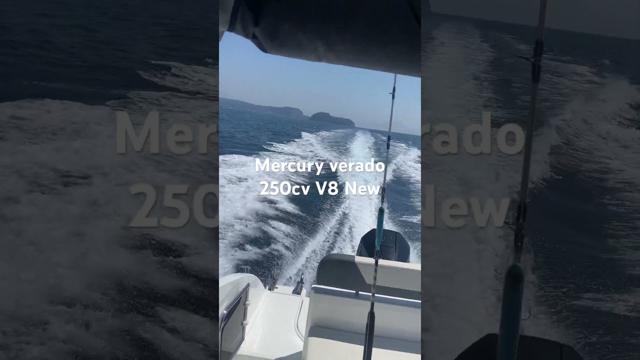 New Mercury Verado 250cv V8