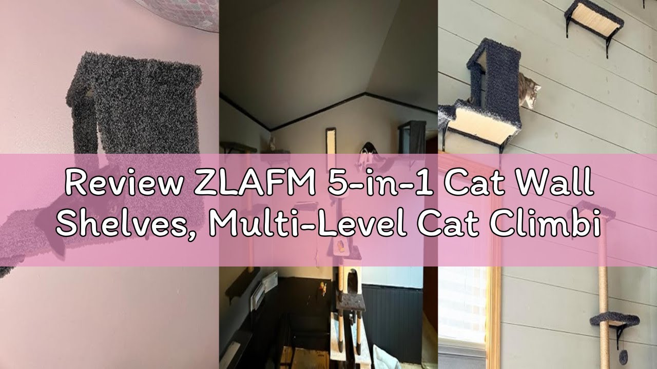 Review ZLAFM 5-in-1 Cat Wall Shelves, Multi-Level Cat Climbing Furniture, Perch & Lounge for Indoor