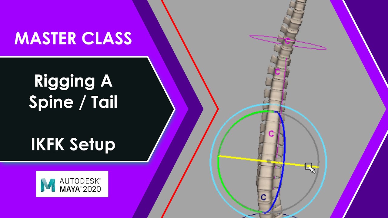 Autodesk Maya - Intro to Rigging 104 - Rigging a Spine using IKFK Method #maya
